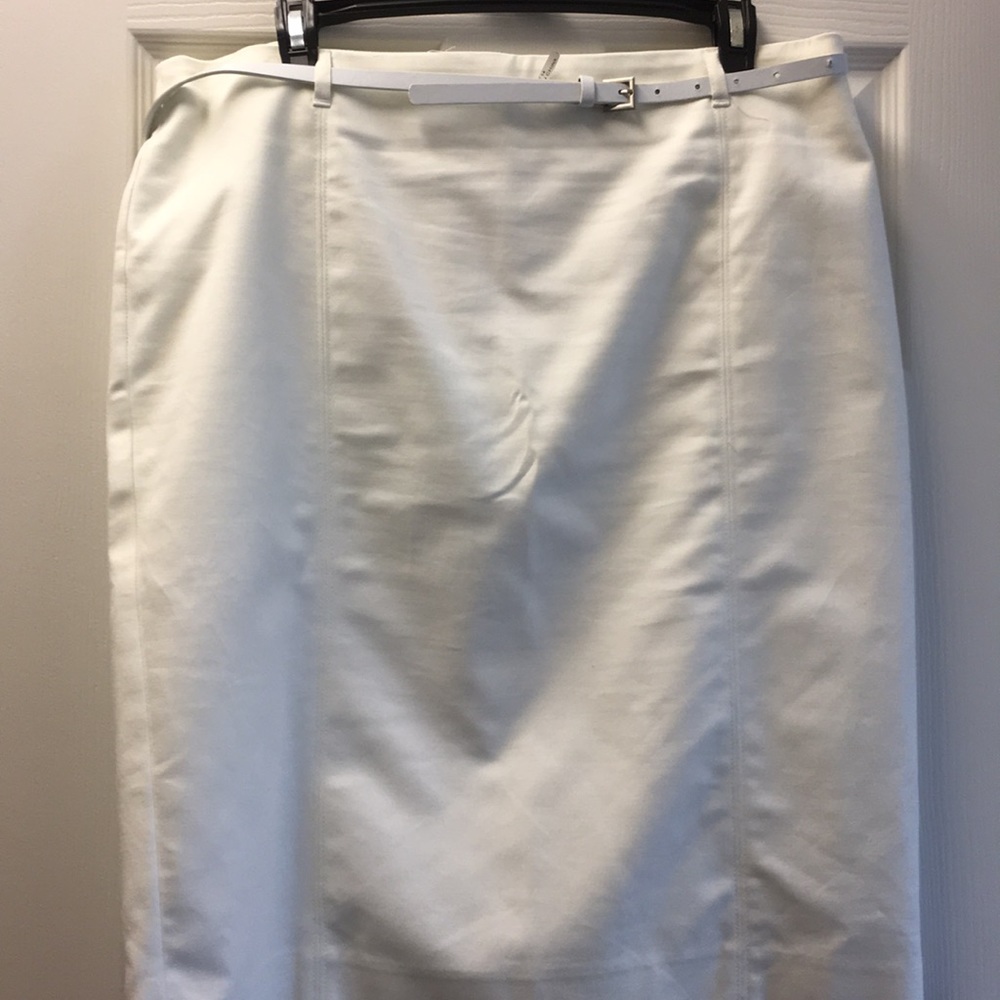 Van Heusen Skirt worn only once.